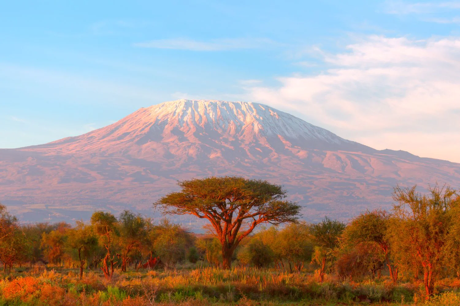 East Africa
